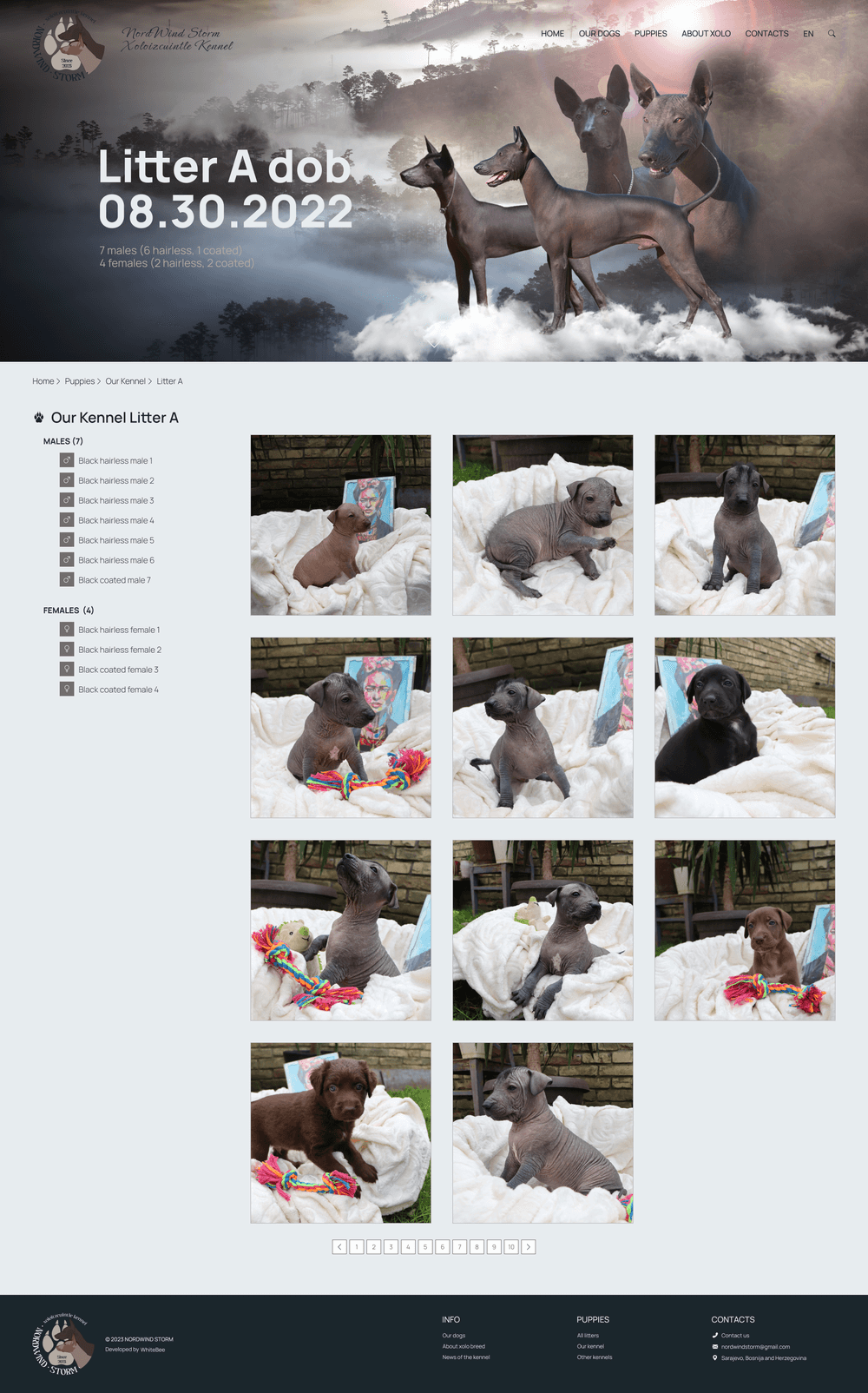 Puppies page